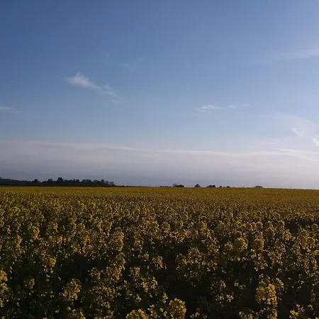 6 Person In Jaegerspris-by Traum